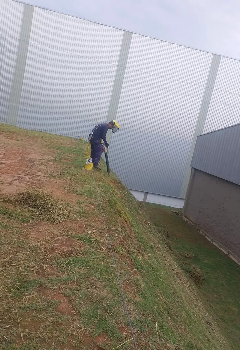 Serviço de jardinagem e manutenção de área verde executado pela Gold Construtora